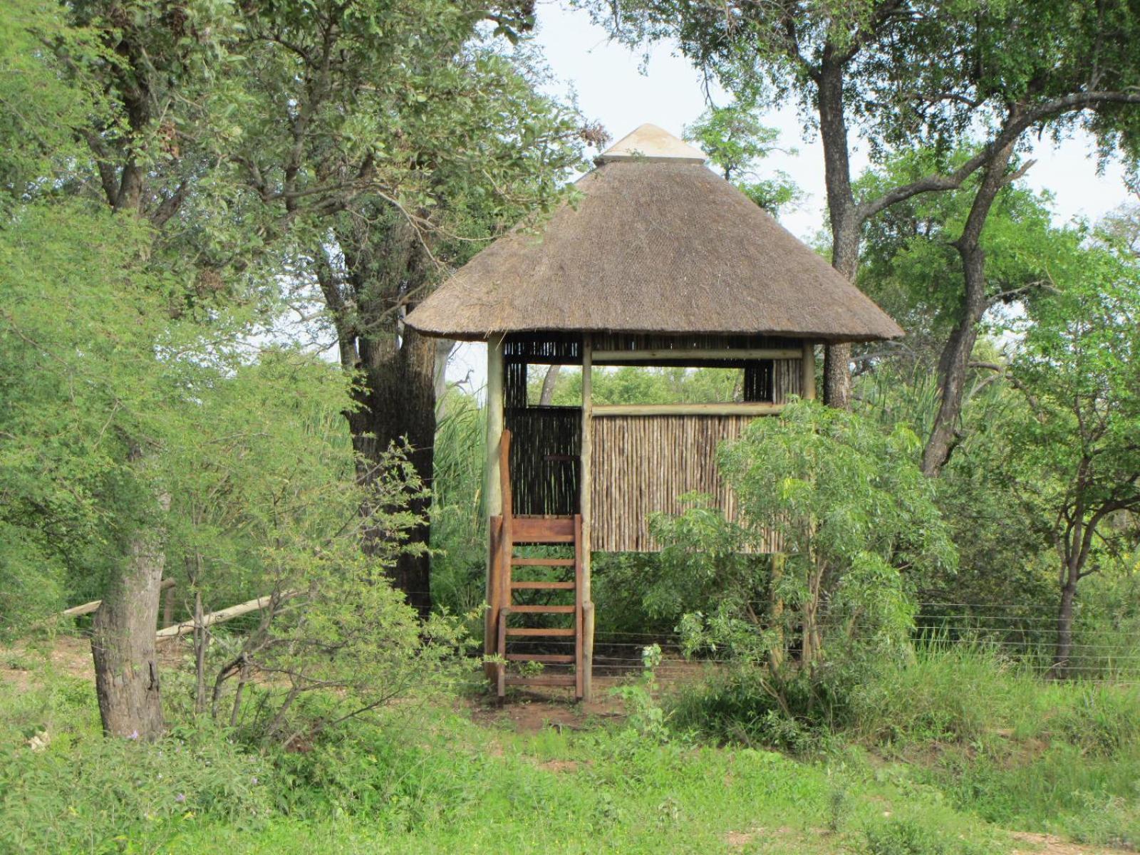 Lodge 54 Hoedspruit Exterior photo